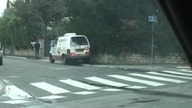 Remi Gaillard Animal
