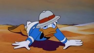 Donald i Goofy - Fata morgana