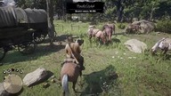 RDR 2 [#26] Dziwna uprzejmość