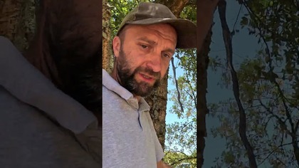 Monitoring na działce - kamera Ranger PT Reolink