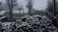 a little snow in Poland  #winter #in #southwest #poland #snow #snowman #christmas