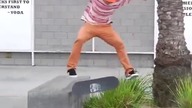 Skatee