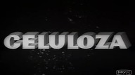 Celuloza - Celullose 1953