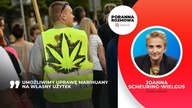 Joanna Scheuring-Wielgus: Karanie za marihuanę jest niezrozumiałe