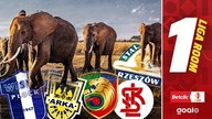 SŁONIE BIEGNĄ DO EKSTRAKLASY! | 1.  Liga Room | 9. kolejka