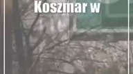 Koszmar w Glinniku.  Z zimną krwią zabił żonę i teściową