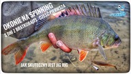 OKONIE NA SPINNING // 3 dni z BratkoBaits - cześć pierwsza // jak skuteczny jest Jig Rig // 2024