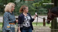 Polsat News - Zapowiedź, reklamy i czołówka programu (20 września 2020)