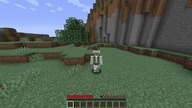 Minecraft/Survival/#?