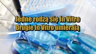 Jedne rodzą się In Vitro, Drugie In Vitro umierają - Ksiądz Tomasz Kancelarczyk - BMS Pro Life