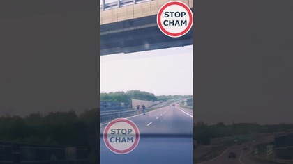 Piesi pod prąd na drodze ekspresowej S8