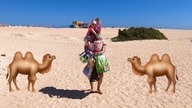 CZYM RÓŻNI SIE TODZIU OD WIELBŁĄDA? | MISS OCEANU | DLM
