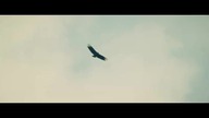 Zwierzyna.  - Prey.  (2021)