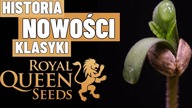 Royal Queen Seeds - Historia, Nowości & Promo 1+1