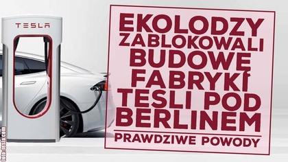 Prawdziwe powody blokady budowy fabryki Tesli pod Berlinem