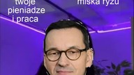 morawiecki trade offer mem