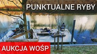 273 PUNKTUALNE RYBY + AUKCJA WOŚP