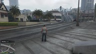 Brunek Ari gta V