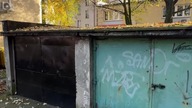 Zakaz karmienia gołębi