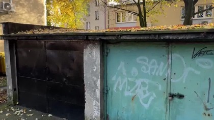 Zakaz karmienia gołębi