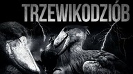10 ZWIERZAT O KTORYCH NIE SŁYSZAŁES