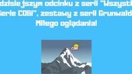 GRUNWALD - Wszystkie Serie COBI