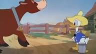 Kaczor Donald - Stary kaczor Mac Donald (1941)