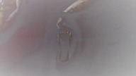 1 MI..... 12