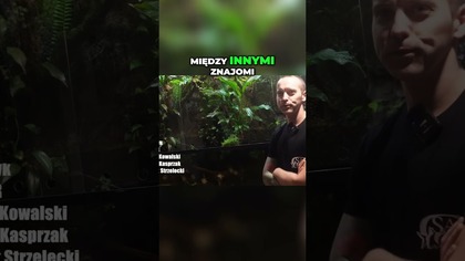  Dlaczego Nie Dodaliście Zwierząt? 