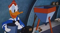 Kaczor Donald - Twardy Donald do zgryzienia