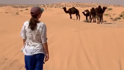 Wielbłądy na Saharze #travel #tunezja #podr&oacute;że #afryka #vanlife #wakacje #historia #afrykap&oacute;łnocna