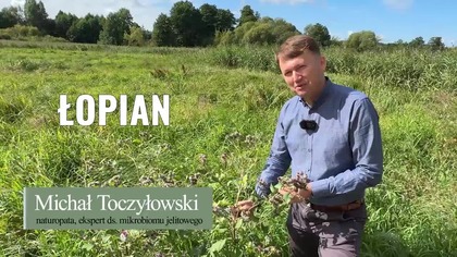 Zioła o silnych właściwościach leczniczych lub trujących