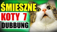 ŚMIESZNE KOTY 7  DUBBING: MATT OLECH
