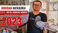 Bogdan Nieradka - gołębie Lini Vos 94,Houben, Pitbull, - Redukcja rozpłodu - film gołębie 2023