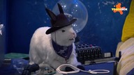 TeenNick Grzmotomocni S4E28 - W pętli czasu dubbing pl