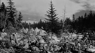 Zatoka Hudsona 1941 napisy.pl western