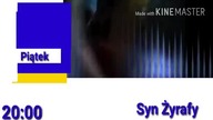 TVN - Zwiastun syn żyrafy (2008-2013)