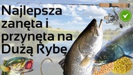 Jak zrobić zanętę i przynętę na Duże Ryby - wędkarstwo