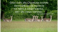 Audycja Wyzwolony - Ken Reedy