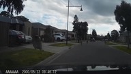 LiveLeak - Bizarre moment mob of kangaroos halt driver passing through Melbourne suburb