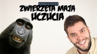 ZWIERZĘTA MAJĄ UCZUCIA | Poszukiwacz #259
