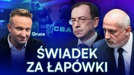 KOMPROMITACJA SŁUŻB PiS.  FAŁSZYWY ŚWIADEK I PORAŻKA W SĄDZIE.  GRUCA ODSŁANIA KULISY GŁOŚNEJ AFERY
