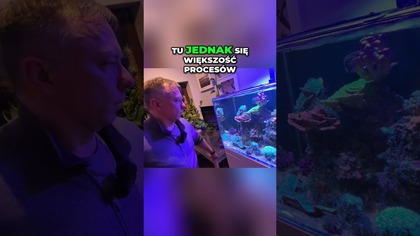 Dlaczego skała jest tak ważna? 