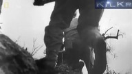 Nazistowscy złodzieje sztuki  Cz 1z2