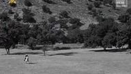 Rio Grande 1938 lektor pl