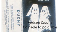 Andrzej Zaucha - Co nagle to po diable (z musicalu Duchy, 1990)