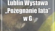 Lublin: Wystawa Pożegnanie lata w Galerii Ratusz