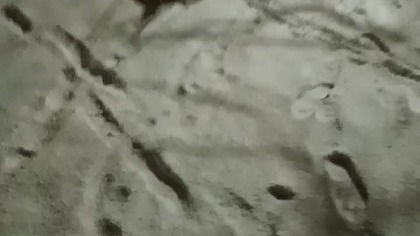 Typer Skoków Narciarskich SK na niedzielny konkurs w Sapporo! Typujcie wyniki Skoczów!