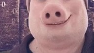 John Pork Wake me up
