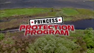 Program ochrony księżniczek ( 2009) Dubbing PL